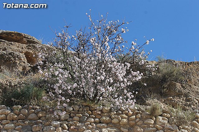 Se estn realizando sondeos geolgicos para determinar la mejor ubicacin donde construir la presa de la rambla de Lbor - 2