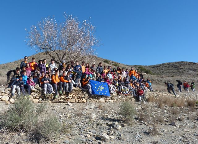 Un centenar de alumnos de Primaria y Secundaria plantan 50 garbancillos de Tallante para evitar su extinción - 1, Foto 1