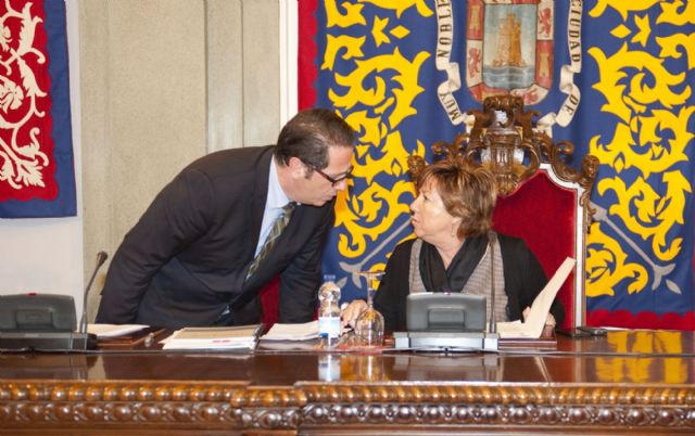 Palacio de Deportes y Rosell cobran de nuevo protagonismo en el pleno - 4, Foto 4