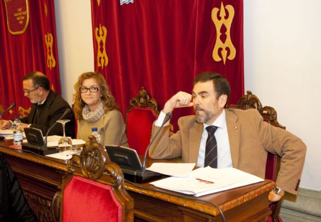 Palacio de Deportes y Rosell cobran de nuevo protagonismo en el pleno - 5, Foto 5