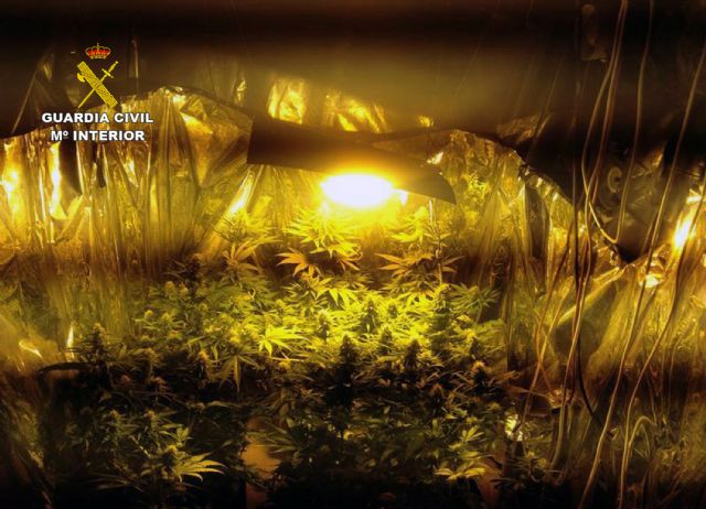 Desmantelado un punto de venta que distribuía droga a menores en La Unión - 2, Foto 2