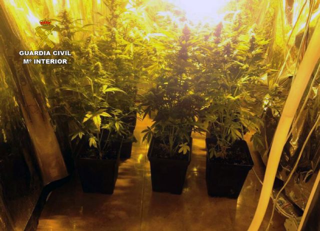 Desmantelado un punto de venta que distribuía droga a menores en La Unión - 4, Foto 4