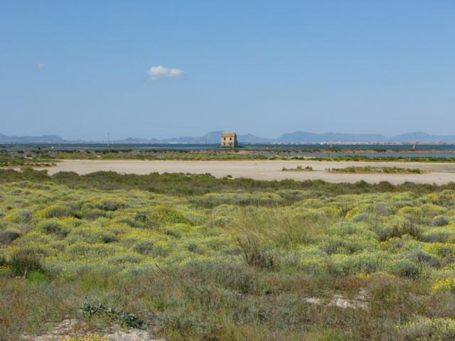 La Región celebra con rutas y actividades especiales el Día Mundial de los Humedales - 1, Foto 1