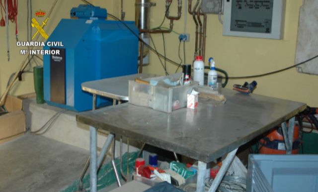 La Guardia Civil interviene cerca de 600 animales de compañía que habrían sido introducidos en hogares del país de forma irregular - 1, Foto 1