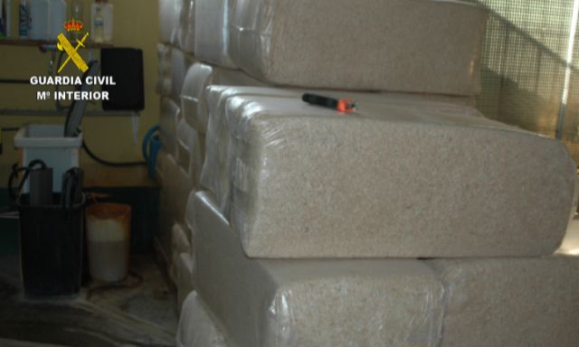 La Guardia Civil interviene cerca de 600 animales de compañía que habrían sido introducidos en hogares del país de forma irregular - 2, Foto 2