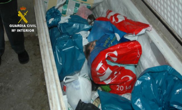 La Guardia Civil interviene cerca de 600 animales de compañía que habrían sido introducidos en hogares del país de forma irregular - 3, Foto 3