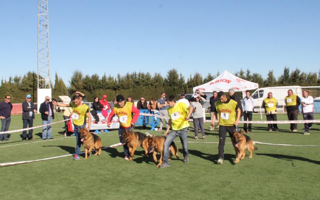 El IV Concurso Nacional Canino exhibe más de 400 ejemplares de más de 50 razas caninas en Puerto Lumbreras - 4, Foto 4