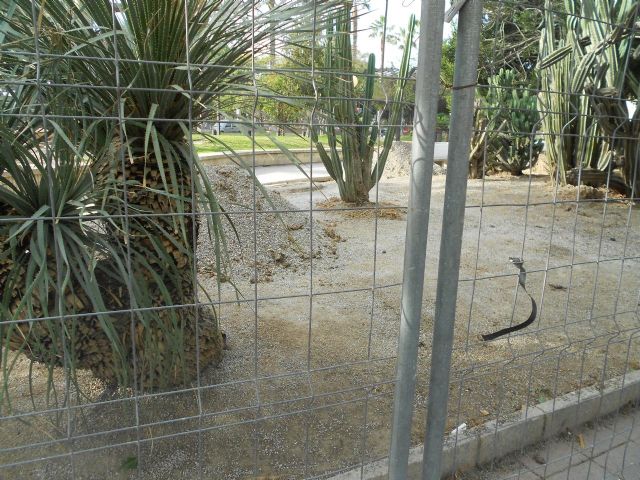 El jardín de los cactus, en obras - 3, Foto 3