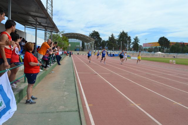 El Polideportivo Municipal albergará una biblioteca del deporte - 1, Foto 1