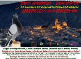 Cehegn acoger el XXVII Concurso de Palomos de Razas Autctonas de Murcia