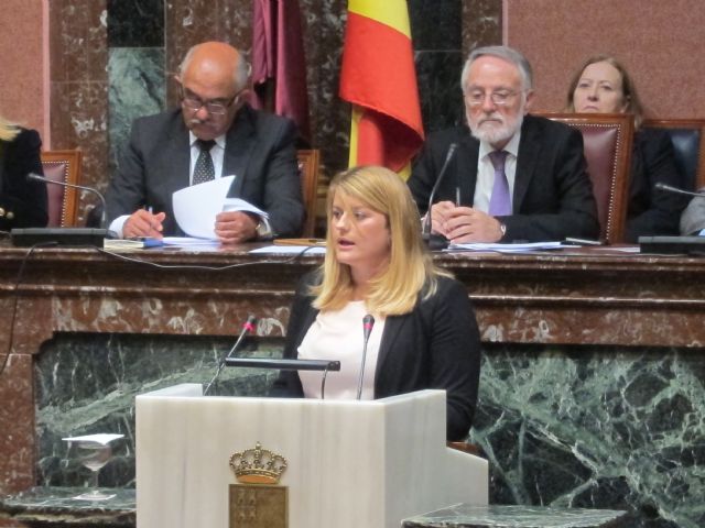 El GPP pide que se mantenga la incompatibilidad en el ejercicio de la profesión de abogados y procuradores - 2, Foto 2