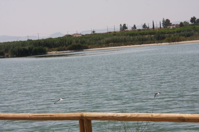 Los alumnos del Máster en Gestión de la Fauna Silvestre de la Universidad de Murcia visitan Las Lagunas de Campotéjar el viernes 7 de febrero - 2, Foto 2
