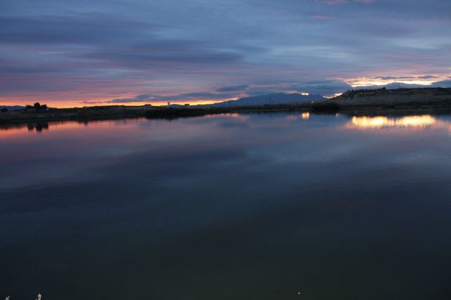 Los alumnos del Máster en Gestión de la Fauna Silvestre de la Universidad de Murcia visitan Las Lagunas de Campotéjar el viernes 7 de febrero - 3, Foto 3