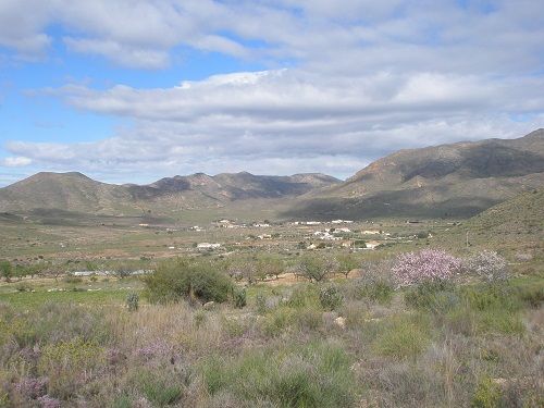 Este domingo se celebra la I marcha ganadera de la Azohía - 2, Foto 2