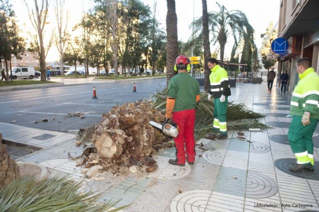 Cartagena recupera la normalidad tras las fuertes rachas de viento - 1, Foto 1