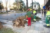 Cartagena recupera la normalidad tras las fuertes rachas de viento