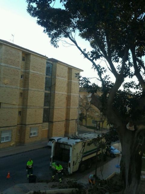 Retiran un ficus que había provocado una rotura de agua en José María Lapuerta sin agua - 3, Foto 3