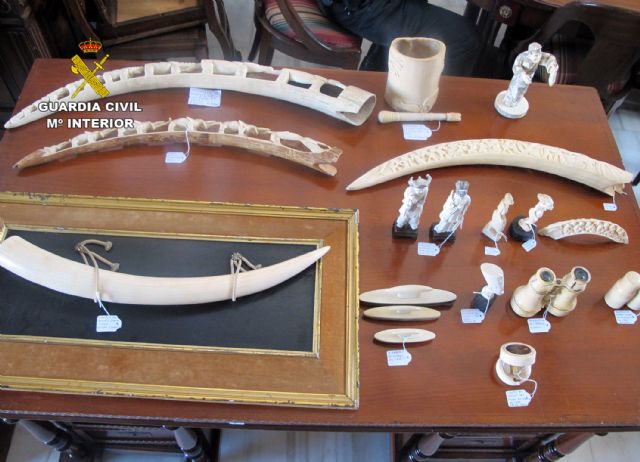 The Civil Guard seize twenty pieces of ivory trade in Totana, Foto 4
