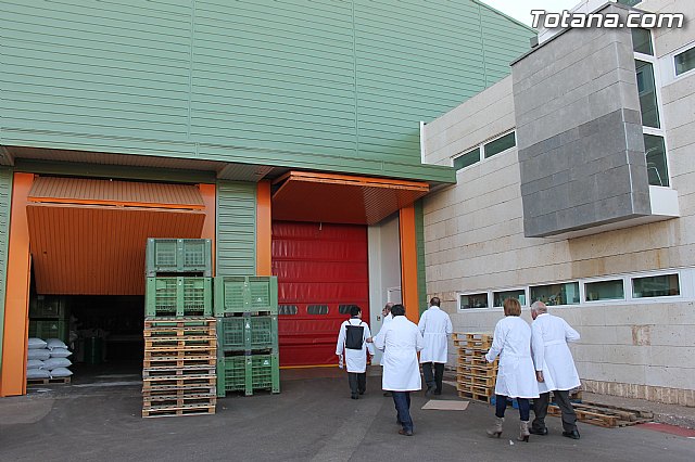 El profesor de la Universidad Carlos III y dirigente de IU, Pedro Chaves Giraldo, visit Totana - 10