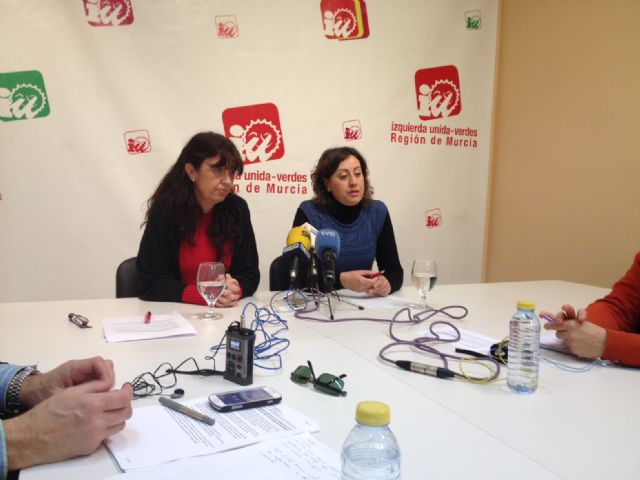 IU-Verdes pide la dimisión inmediata del director general de Medio Ambiente por su irresponsabilidad y pasividad - 1, Foto 1