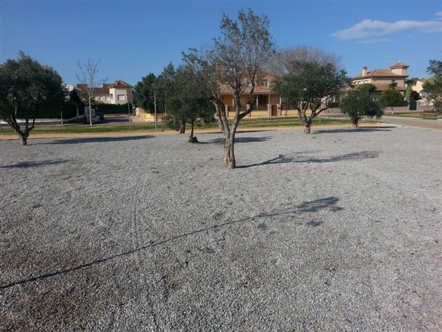 Parques y Jardines planta más de 50 árboles en el acondicionamiento del parque José Ruiz Manzanares - 1, Foto 1