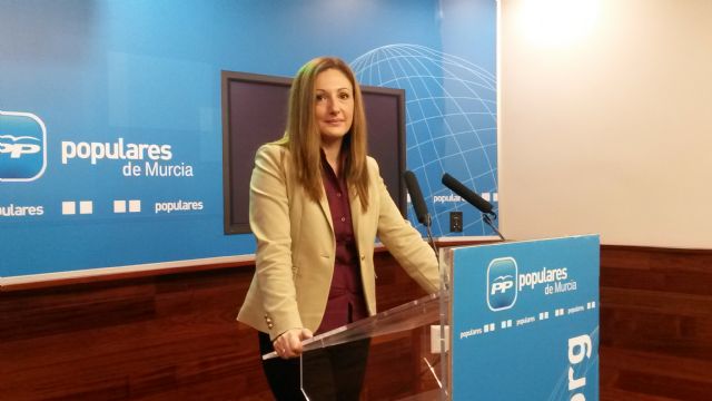 El PP pide una línea europea específica de financiación para seguridad vial y mejora de carreteras - 1, Foto 1