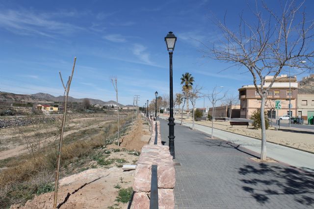 Ronda de Poniente Juan Pablo II contará más de 200 árboles para proporcionar un mejor sombraje - 1, Foto 1