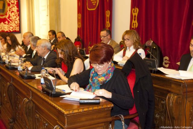 El Rosell y la seguridad ciudadana en las diputaciones, de actualidad en el pleno - 5, Foto 5