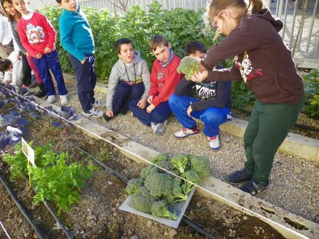 21 centros educativos constituyen la Red de Huertos Escolares - 1, Foto 1