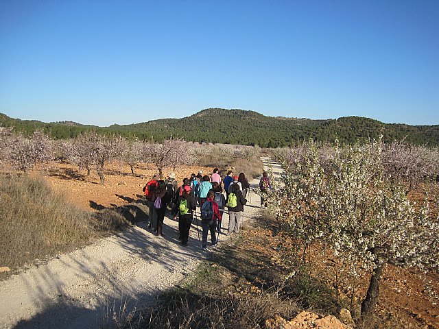 Una veintena de senderistas participaron en la ruta organizada por Deportes en Sierra Espuña por el trmino municipal de Pliego - 4