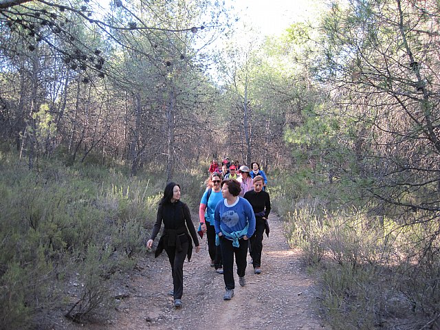 Una veintena de senderistas participaron en la ruta organizada por Deportes en Sierra Espuña por el trmino municipal de Pliego - 7