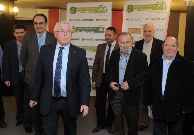 Murcia se convertirá en mayo en la capital internacional de los molinos - 3, Foto 3