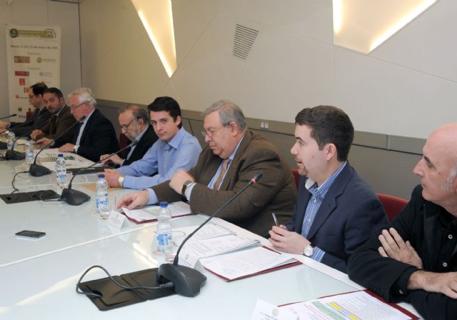 Murcia se convertirá en mayo en la capital internacional de los molinos - 4, Foto 4