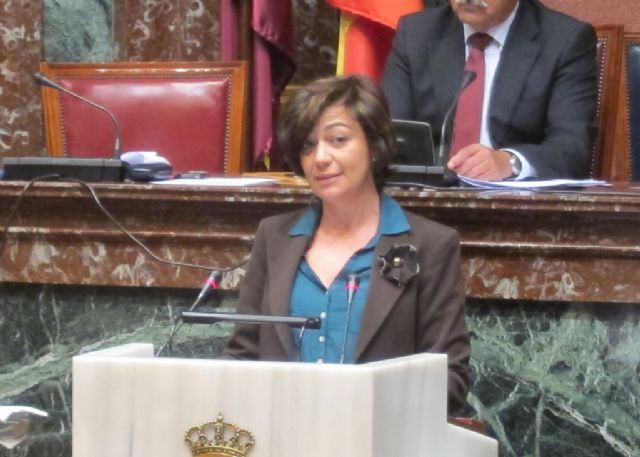 El GPP logra el apoyo de la Cámara para que se refuerce la atención a los parados aprovechando todo el potencial de las nuevas tecnologías - 1, Foto 1