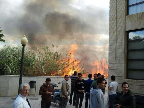 Un incendio de cañizo en la parte trasera de la UCAM provoca el desalojo del aulario - 1, Foto 1