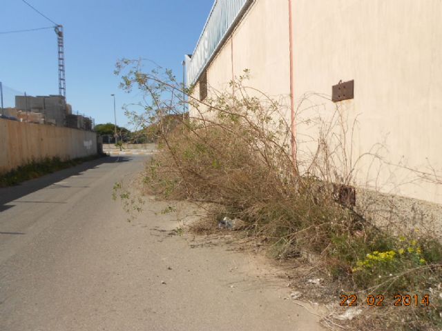 El PSOE denuncia el lamentable estado de abandono de los Extrarradios del municipio - 2, Foto 2