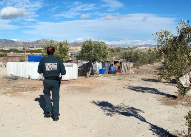 La Guardia Civil detecta en una granja de Molina de Segura más de una decena de animales con graves síntomas de desnutrición - 4, Foto 4