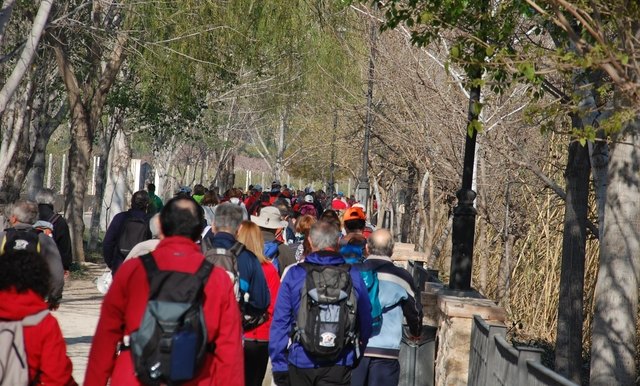 Floración y Solidaridad en Cieza - 1, Foto 1
