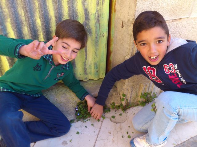 Pieza a Pieza conseguimos un Museo consigue reunir a casi una veintena de escolares en el Museo de Arqueología - 4, Foto 4