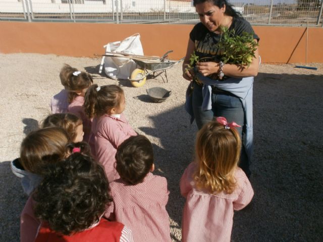 Los pequeños de las guarderías aprenden a cuidar sus huertos - 3, Foto 3