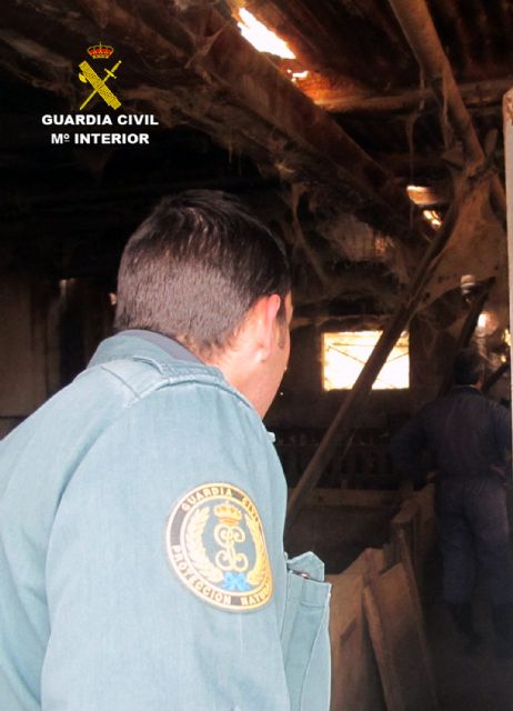 La Guardia Civil denuncia al titular de una granja de Calasparra en la que fue hallado medio centenar de cerdos muertos - 5, Foto 5