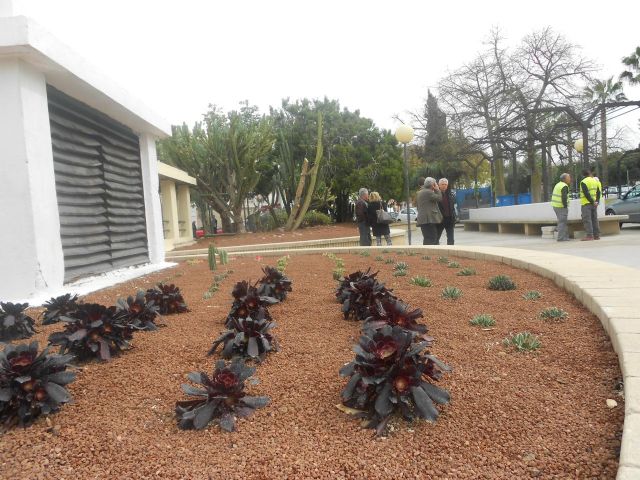 Medio Ambiente mejora el Jardín Seco junto al Mercado de Verónicas - 1, Foto 1