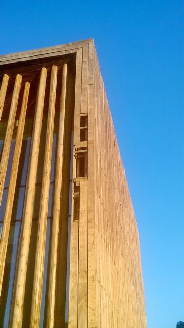 Edificio Bioclimático de Yecla: se está cayendo por días y aquí nadie explica nada - 2, Foto 2