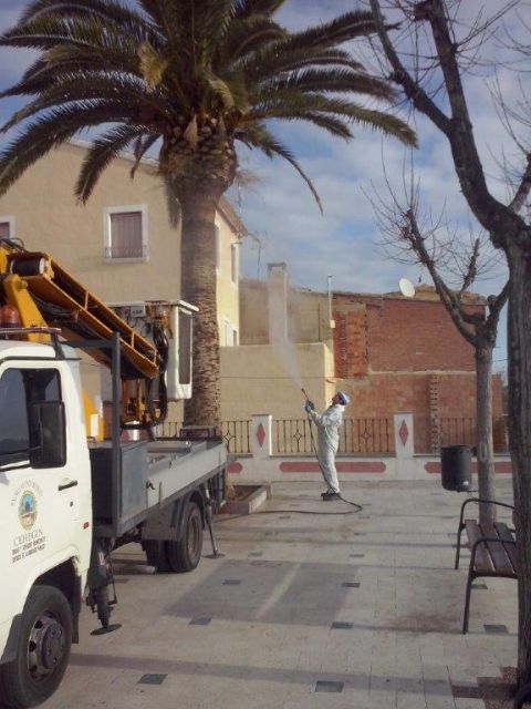 Obras y Servicios realiza labores de mantenimiento y mejora en parques y jardines - 4, Foto 4