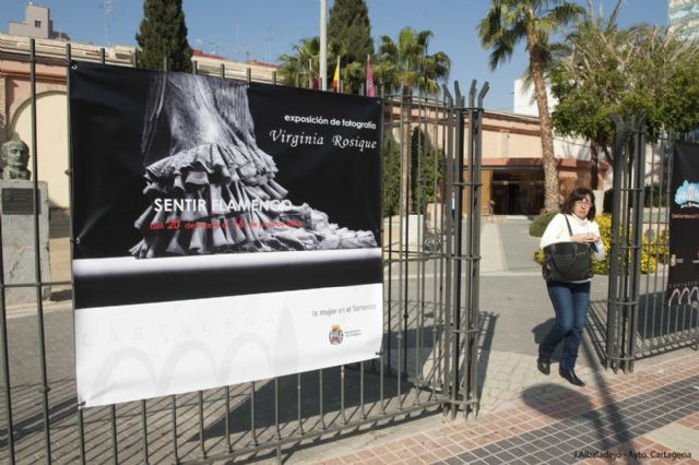 El Museo Arqueológico se traslada al corazón de la mujer flamenca - 2, Foto 2