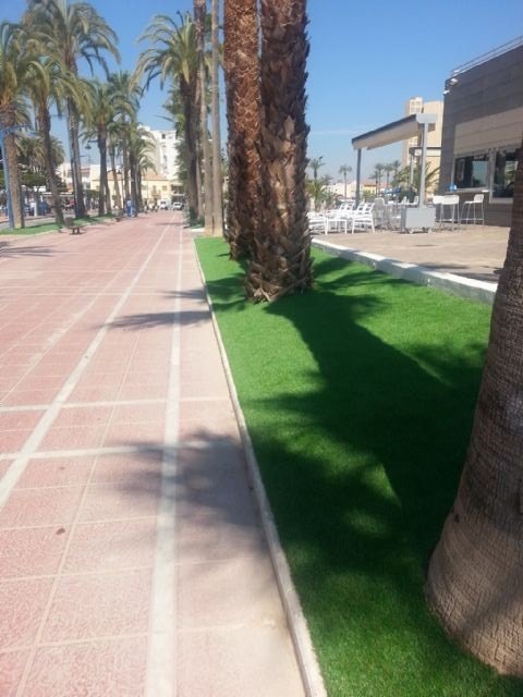 Parques y Jardines coloca césped artificial en los parterres de las palmeras del paseo junto a la explanada Barnuevo - 2, Foto 2