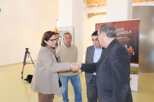 Los vinos de la DO Jumilla se someten al dictamen de la crítica en el XX Certamen de Calidad de los Vinos de Jumilla - 3, Foto 3