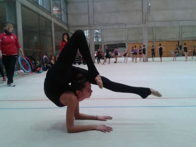 La gimnasta María Ángeles Martínez participa en una jornada técnica con la selección nacional - 1, Foto 1