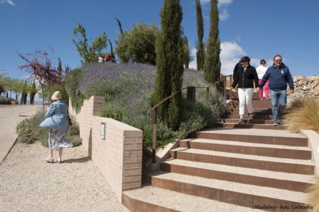 Mil quinientos cruceristas desembarcan en Cartagena - 3, Foto 3