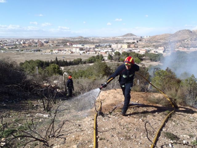 Sofocado un incendio de pinada y matorral bajo en San Julián - 1, Foto 1